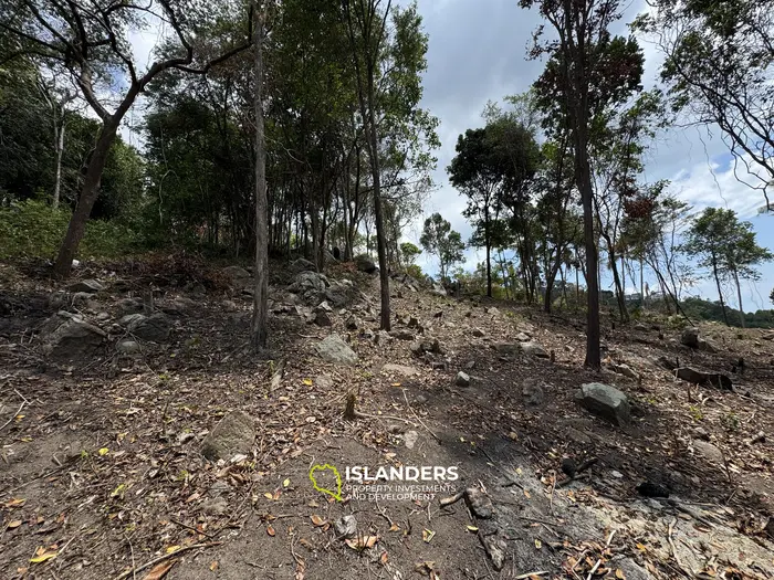 The Best Land Plots With Breathtaking View in Haad Yao — for Living and Investment PLOT #3