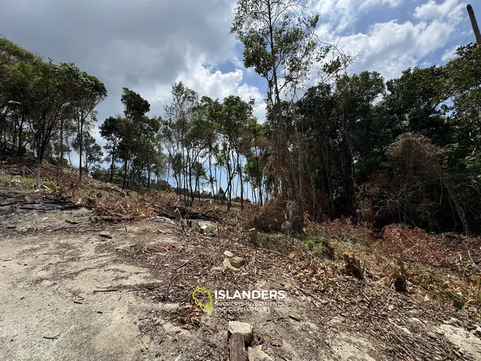 The Best Land Plots With Breathtaking View in Haad Yao — for Living and Investment PLOT #3