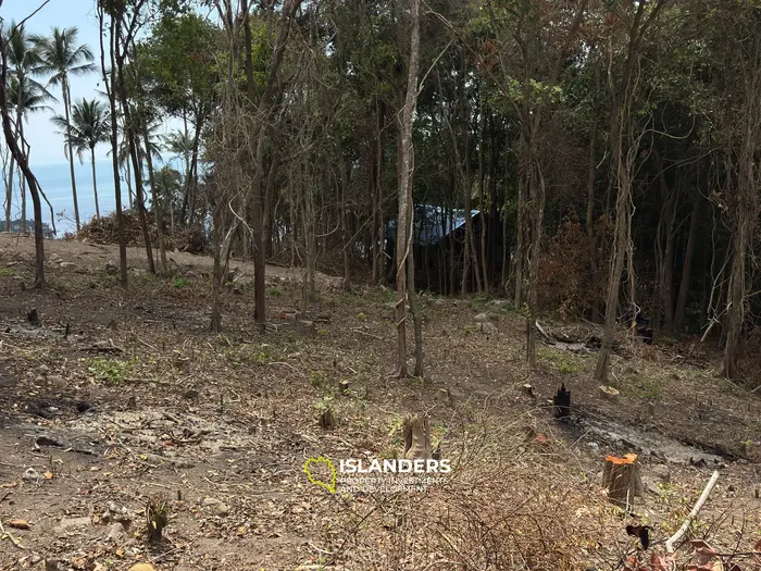 The Best Land Plots With Breathtaking View in Haad Yao — for Living and Investment PLOT #3