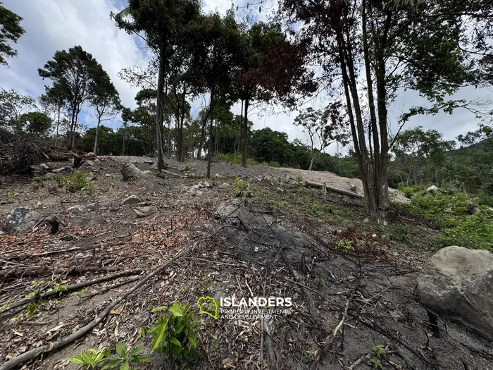 The Best Land Plots With Breathtaking View in Haad Yao — for Living and Investment PLOT #4