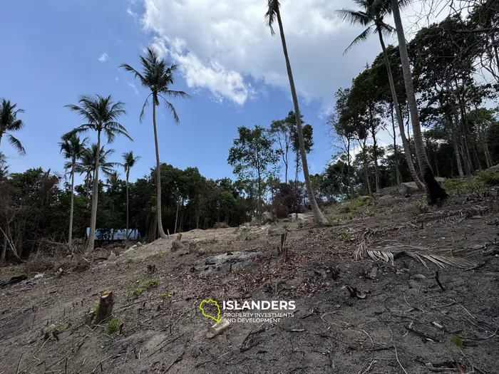 The Best Land Plots With Breathtaking View in Haad Yao — for Living and Investment PLOT #4