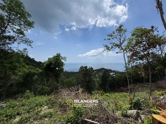 The Best Land Plots With Breathtaking View in Haad Yao — for Living and Investment PLOT #4