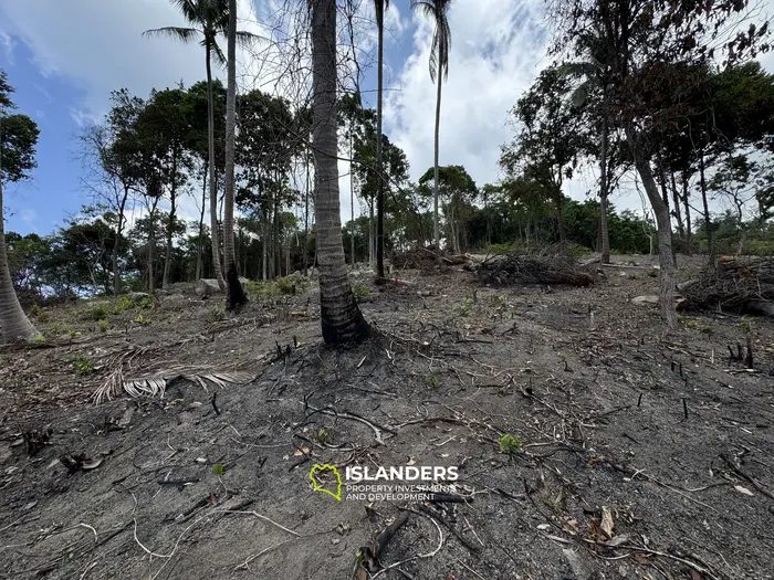 The Best Land Plots With Breathtaking View in Haad Yao — for Living and Investment PLOT #4