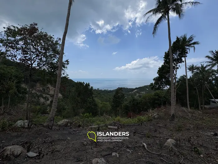 The Best Land Plots With Breathtaking View in Haad Yao — for Living and Investment PLOT #4