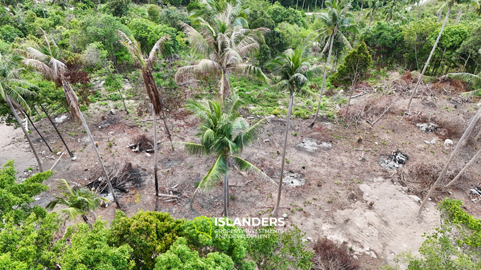 The Best Land Plots With Breathtaking View in Haad Yao — for Living and Investment PLOT #4