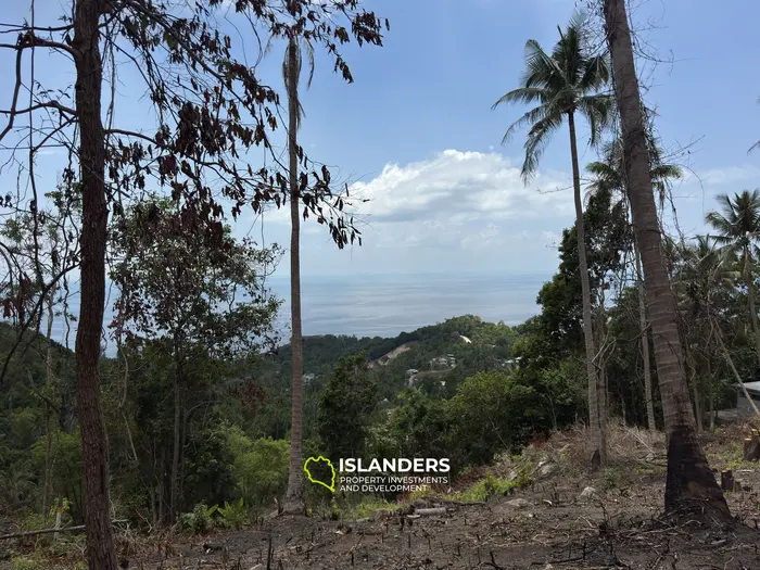 The Best Land Plots With Breathtaking View in Haad Yao — for Living and Investment PLOT #4