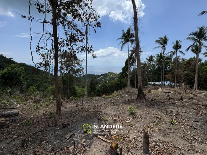 The Best Land Plots With Breathtaking View in Haad Yao — for Living and Investment PLOT #4