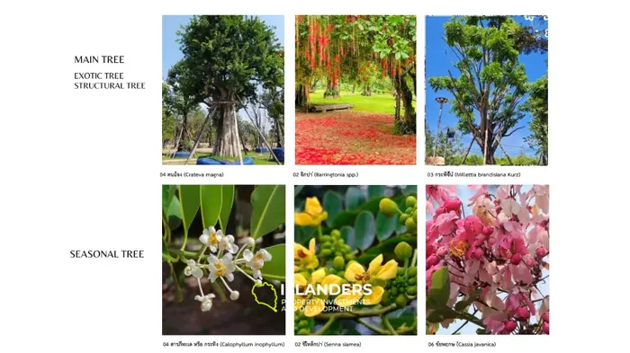 🌴✨ KA SOUL VILLAS – Exclusive Tropical Living in North Srithanu ✨🌴 (PLOT 3/4)  **OFF PLAN**