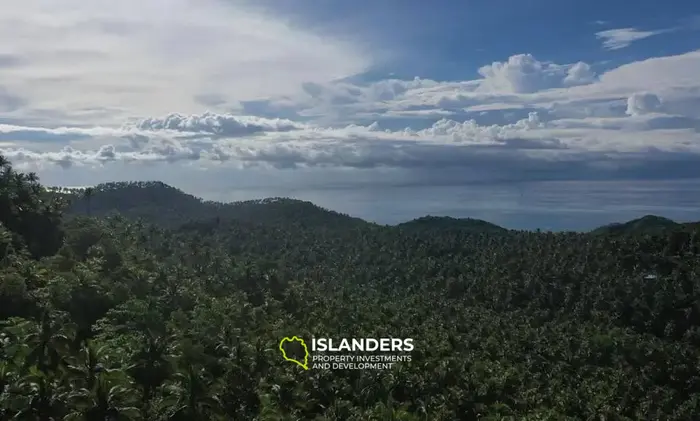 Enchanting Land with Sea View in Haad Salad, Koh Phangan