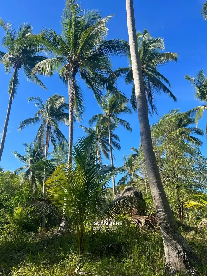 Enchanting Land with Sea View in Haad Salad, Koh Phangan