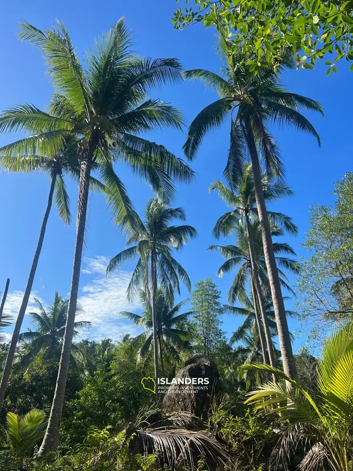 Enchanting Land with Sea View in Haad Salad, Koh Phangan