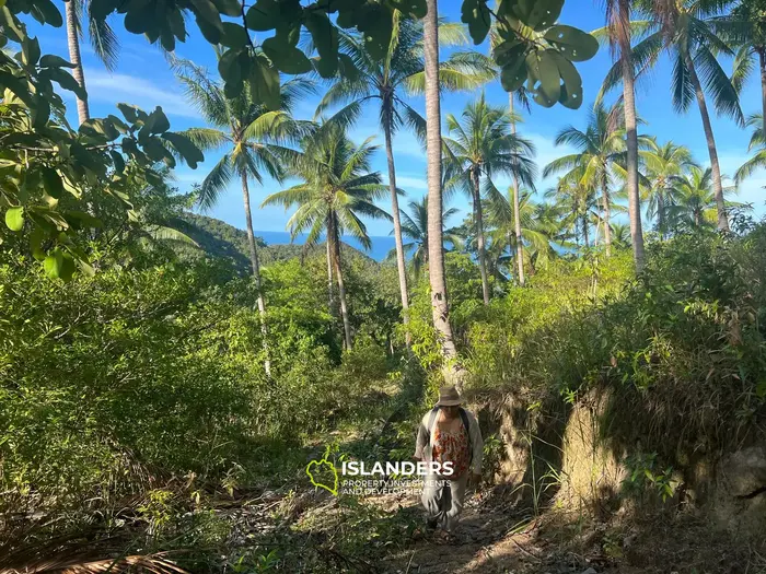 Enchanting Land with Sea View in Haad Salad, Koh Phangan