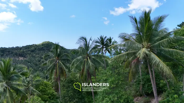 Enchanting Land with Sea View in Haad Salad, Koh Phangan