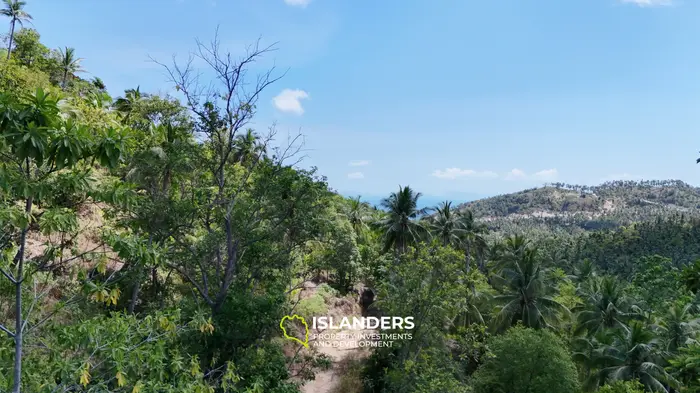 Enchanting Land with Sea View in Haad Salad, Koh Phangan