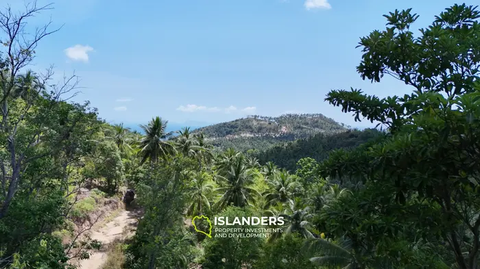 Enchanting Land with Sea View in Haad Salad, Koh Phangan