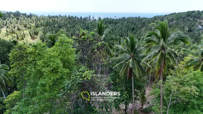 Enchanting Land with Sea View in Haad Salad, Koh Phangan