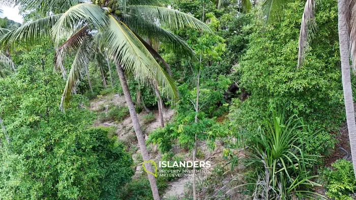 Enchanting Land with Sea View in Haad Salad, Koh Phangan