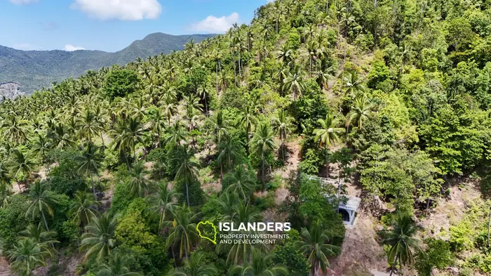 Enchanting Land with Sea View in Haad Salad, Koh Phangan