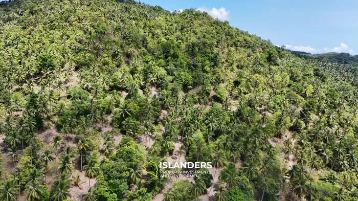 Enchanting Land with Sea View in Haad Salad, Koh Phangan