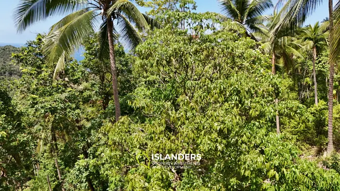 Enchanting Land with Sea View in Haad Salad, Koh Phangan