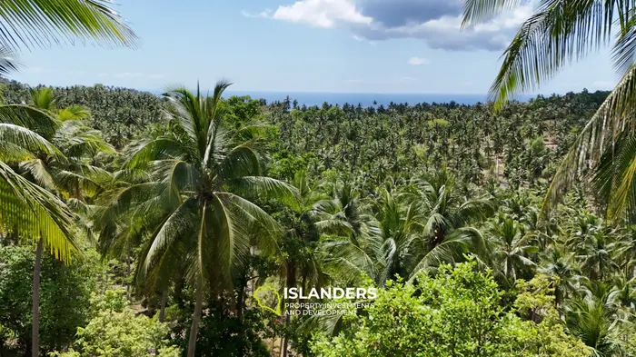 Enchanting Land with Sea View in Haad Salad, Koh Phangan