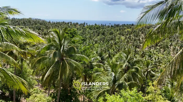 Enchanting Land with Sea View in Haad Salad, Koh Phangan
