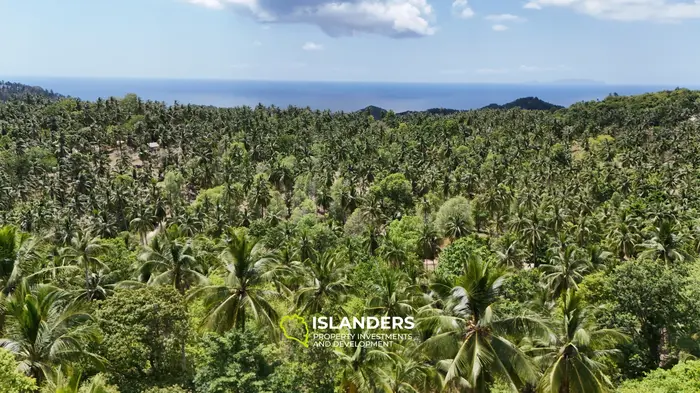 Enchanting Land with Sea View in Haad Salad, Koh Phangan