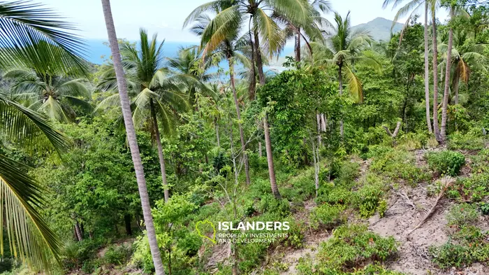 Enchanting Land with Sea View in Haad Salad, Koh Phangan