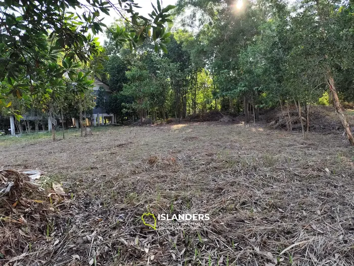 Prime Flat Land for Sale in Hin Kong