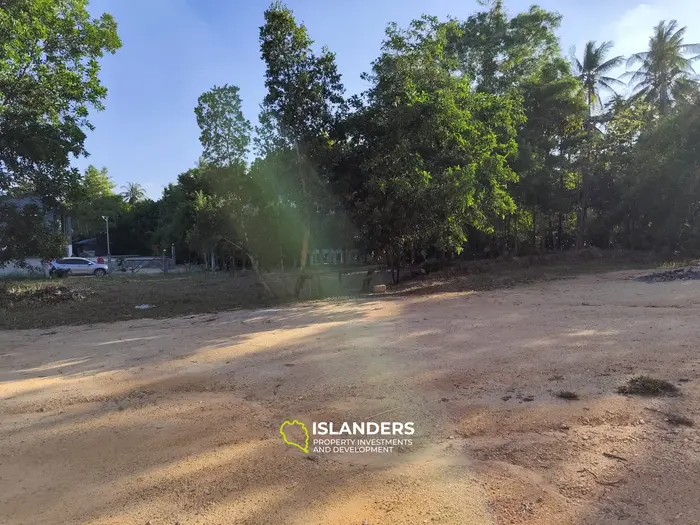 Prime Flat Land for Sale in Hin Kong