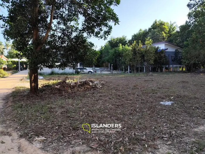 Prime Flat Land for Sale in Hin Kong
