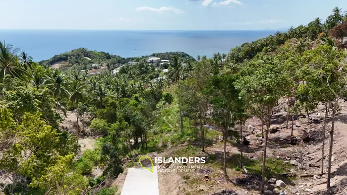 Premium Ocean View Land in Haad Yao (Plot ROTHKO) — Infrastructure Ready, West cost