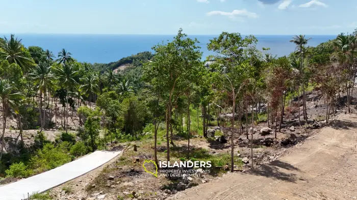 Premium Ocean View Land in Haad Yao (Plot ROTHKO) — Infrastructure Ready, West cost