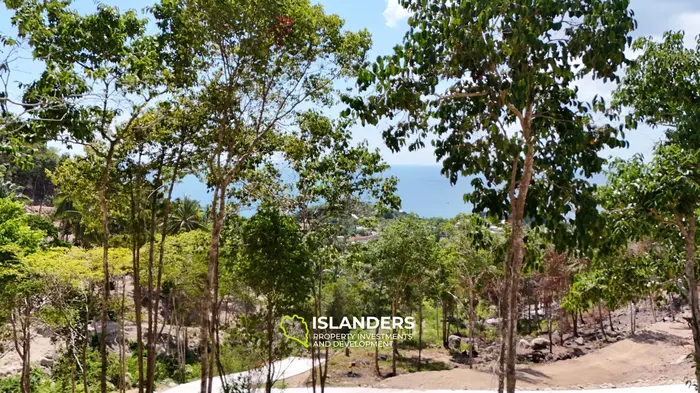 Premium Ocean View Land in Haad Yao (Plot KLIMT) — Infrastructure Ready, West cost