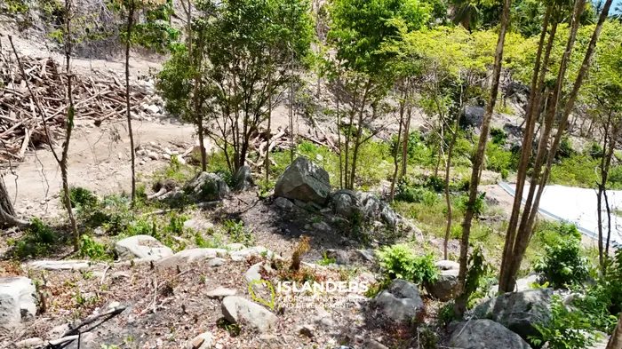 Premium Ocean View Land in Haad Yao (Plot KLIMT) — Infrastructure Ready, West cost