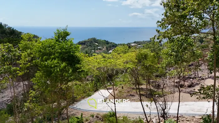 Premium Ocean View Land in Haad Yao (Plot KLIMT) — Infrastructure Ready, West cost