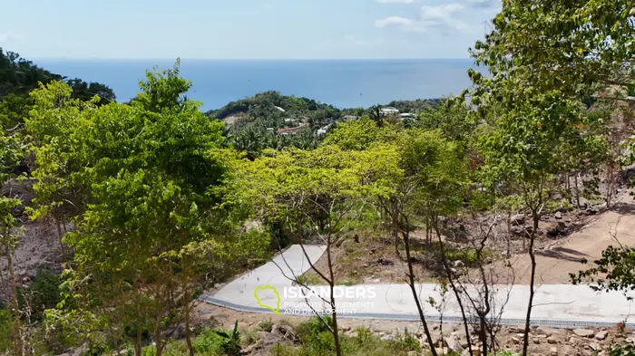 Premium Ocean View Land in Haad Yao (Plot KLIMT) — Infrastructure Ready, West cost