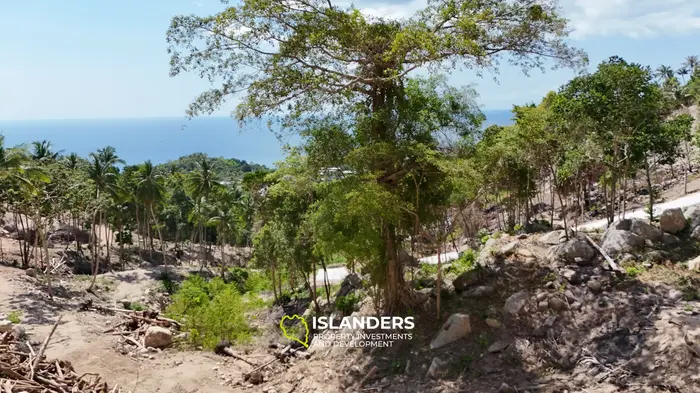 Premium Ocean View Land in Haad Yao (Plot KLIMT) — Infrastructure Ready, West cost