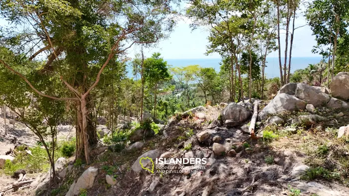 Premium Ocean View Land in Haad Yao (Plot KLIMT) — Infrastructure Ready, West cost