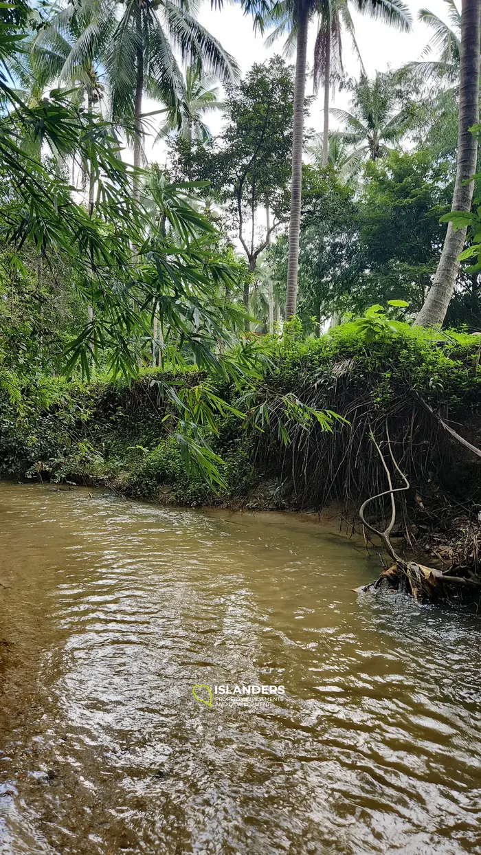 असाधारण रिवरसाइड भूमि अवसर - प्रमुख विकास संभावनाओं के साथ शांत वातावरण