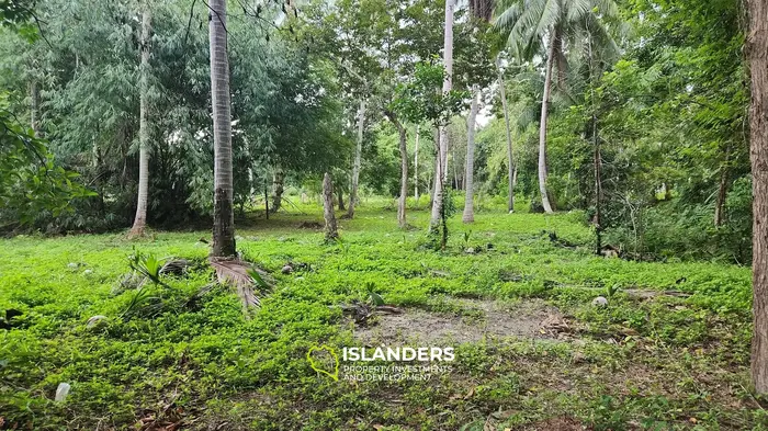 असाधारण रिवरसाइड भूमि अवसर - प्रमुख विकास संभावनाओं के साथ शांत वातावरण