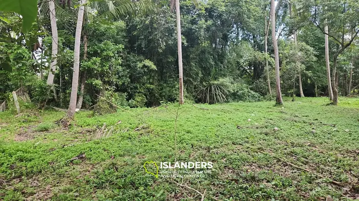 例外的なリバーサイドの土地の機会 - 主要な開発の可能性を持つ静かな環境