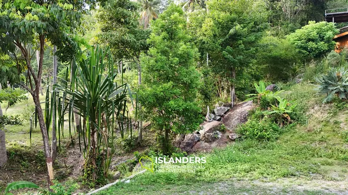 Stunning 2,584 m2 SEA VIEW property for sale 