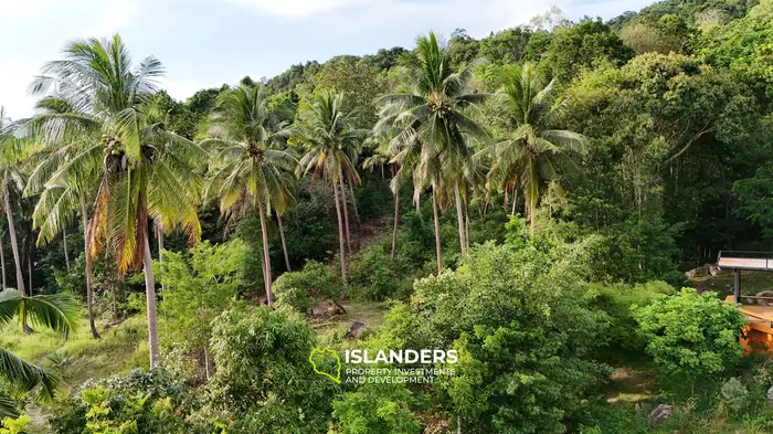 Stunning 2,584 m2 SEA VIEW property for sale 