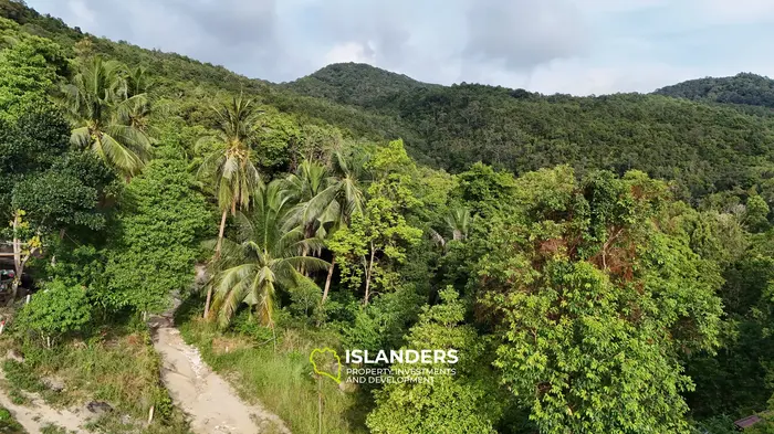 Stunning 2,584 m2 SEA VIEW property for sale 