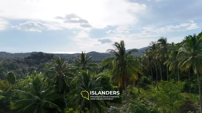 Stunning 2,584 m2 SEA VIEW property for sale 