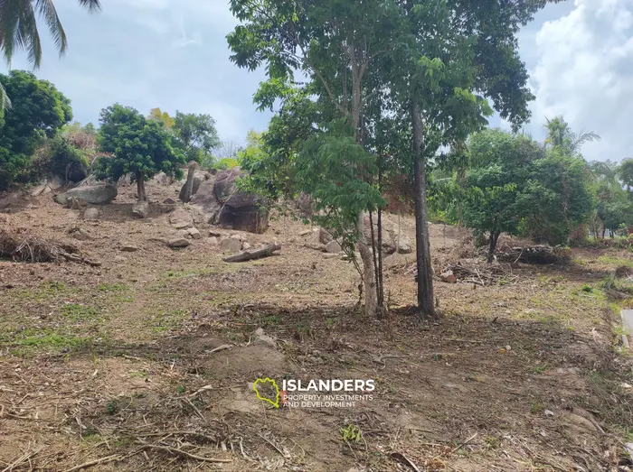 Exclusive Land for Sale with Breathtaking Sea Views in Koh Phangan