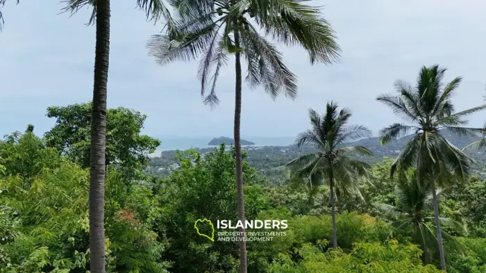 🌅 Sea-View Land for Sale – Sunset Side, KPG