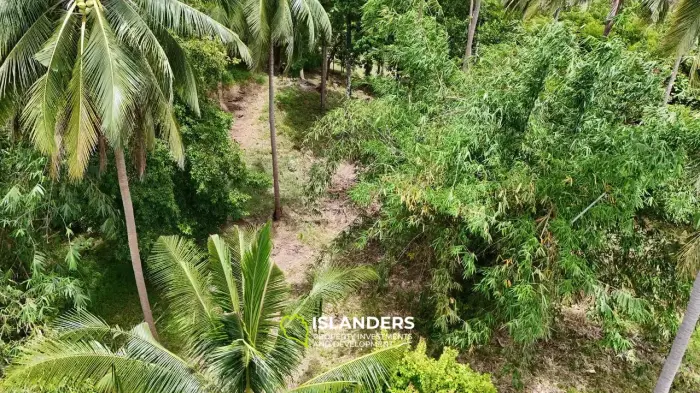🌅 Sea-View Land for Sale – Sunset Side, KPG