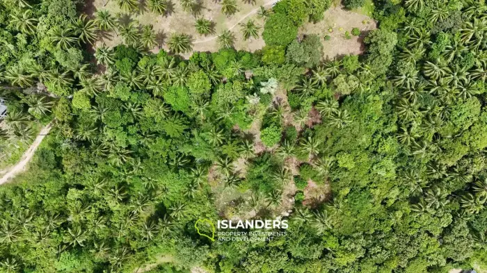 🌅 Sea-View Land for Sale – Sunset Side, KPG